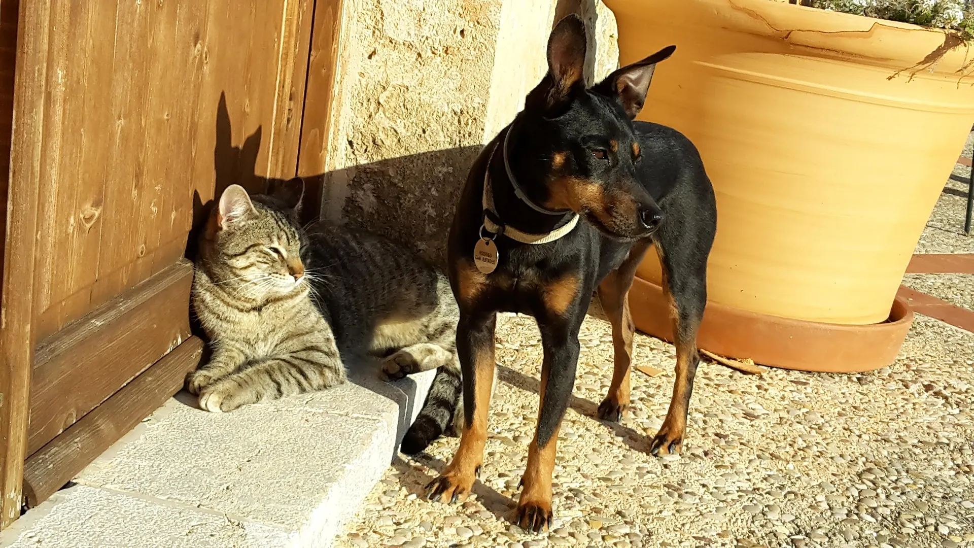 Finca Can Estades Calvia (Mallorca)
