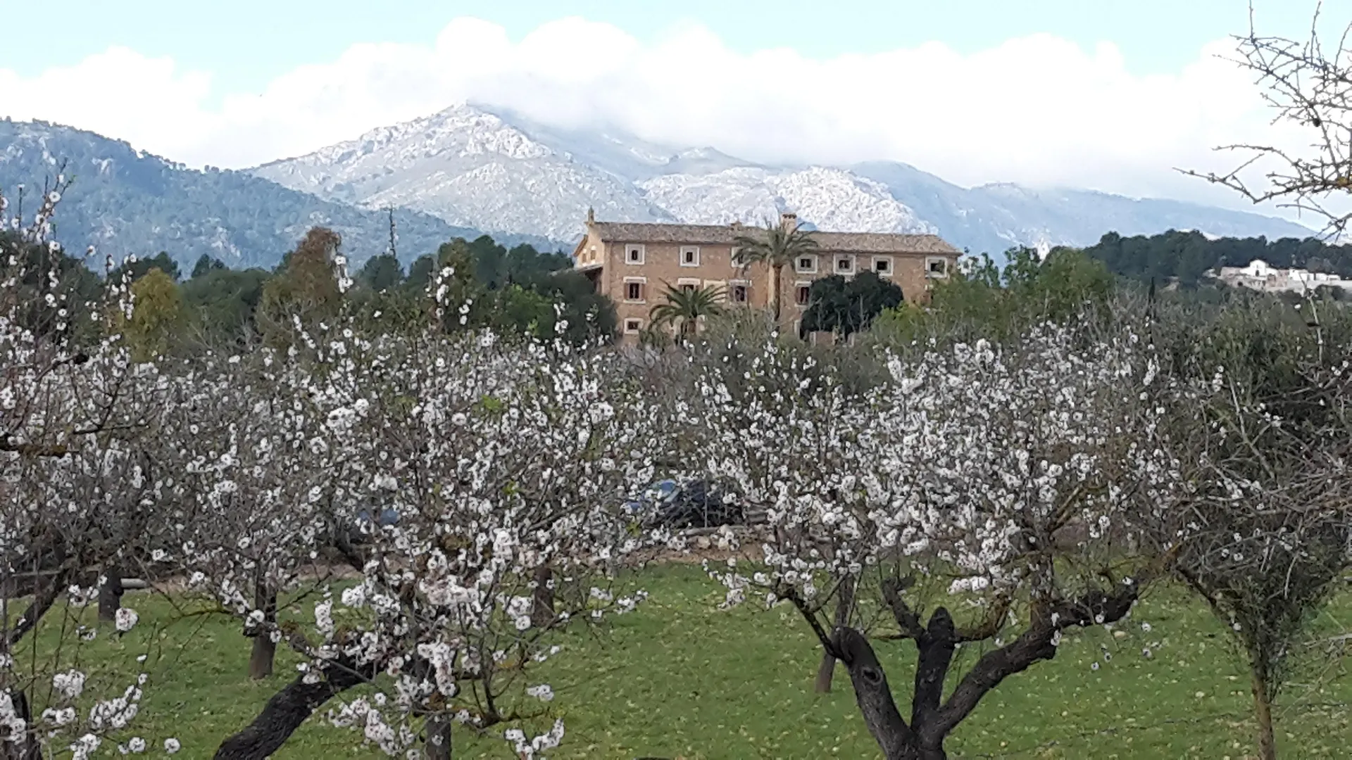 Fincahotel Can Estades Calvià 4*,