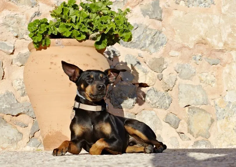 Hotel Finca Can Estades